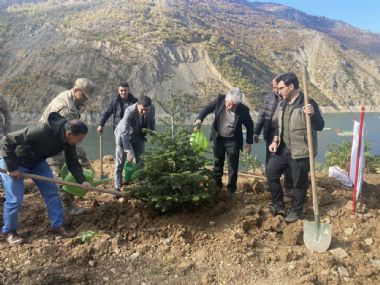 Ağaçlandırma çalışmaları