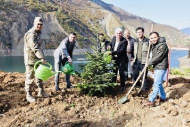 Ağaçlandırma çalışmaları