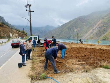 Ağaçlandırma çalışmaları